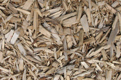 biomass boilers Mealrigg